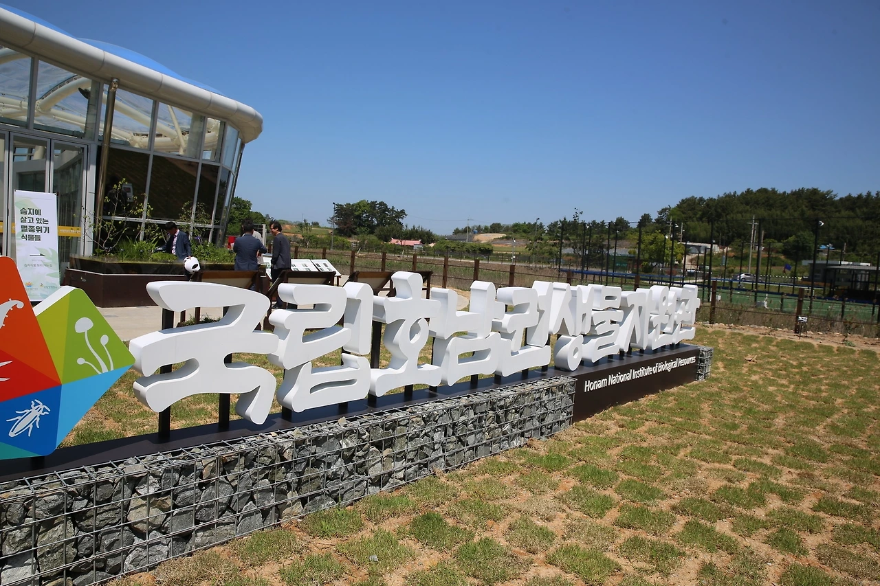 MG0A1907_новый размер.JPG