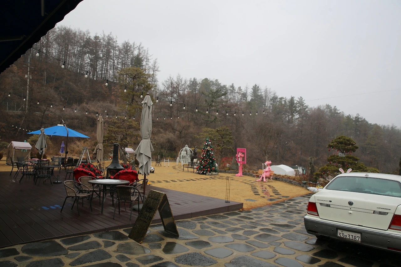 MG0A6161_новый размер.JPG