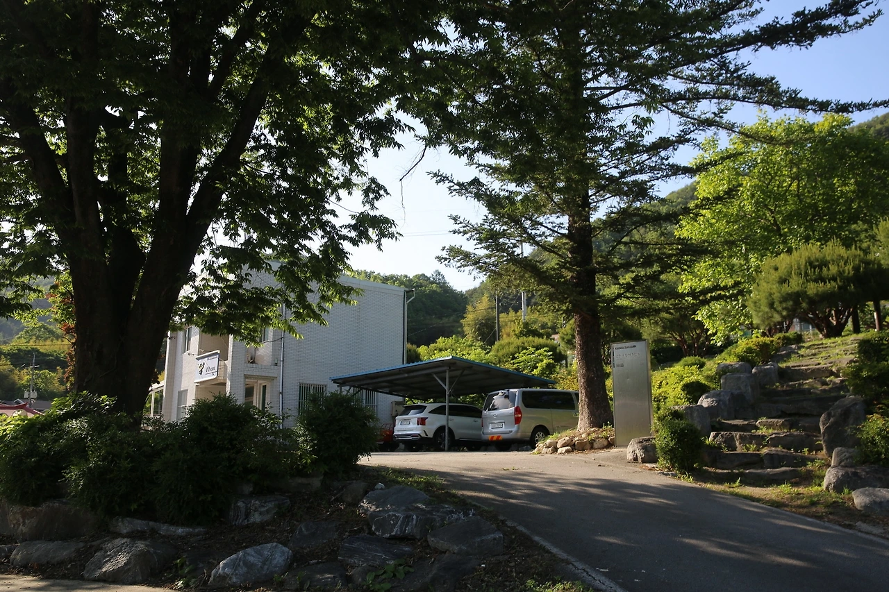 MG0A9527_новый размер.JPG