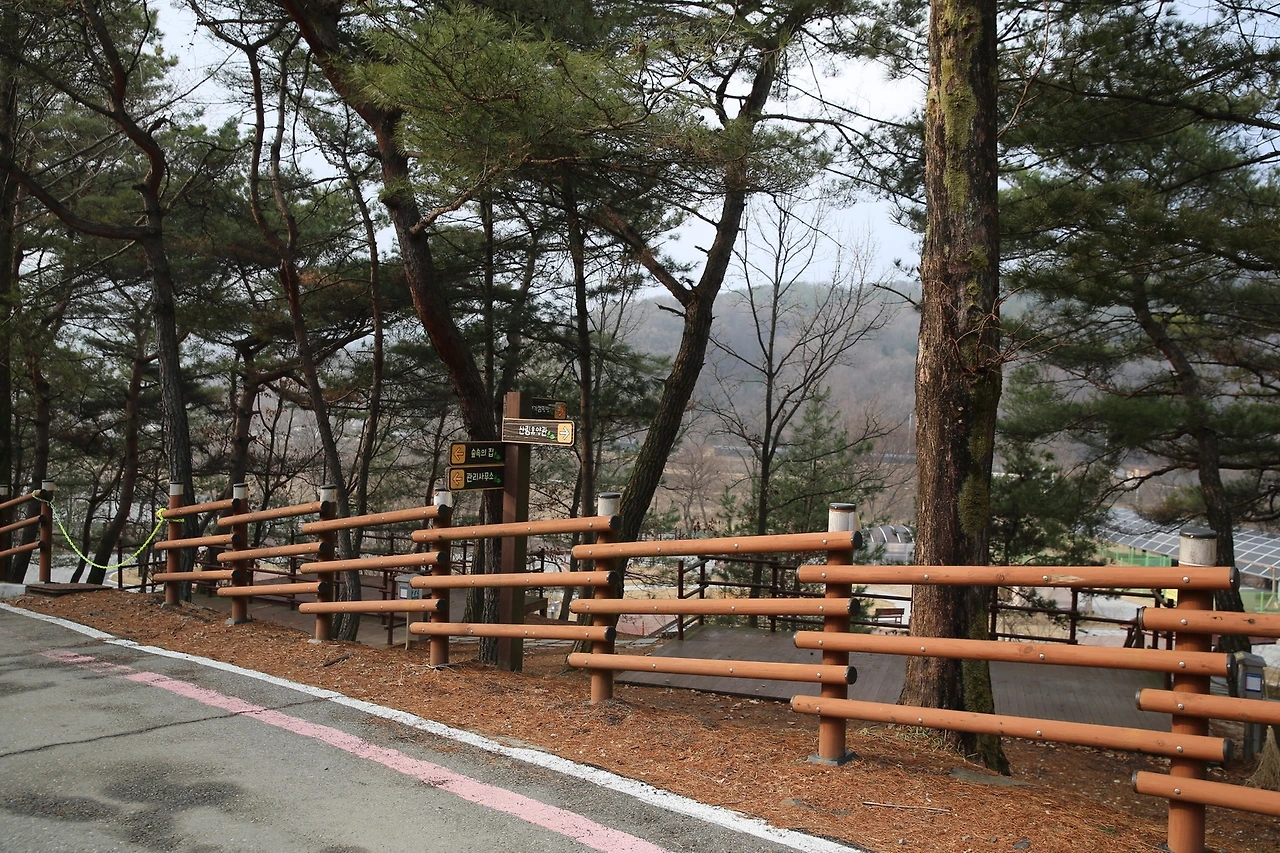 MG0A5465_новый размер.JPG