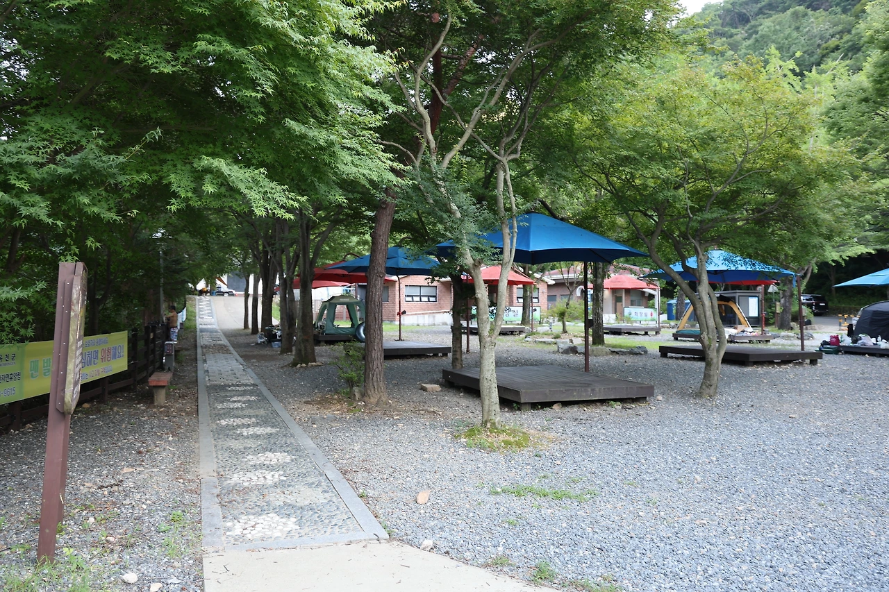 0R5A9900_новый размер.JPG