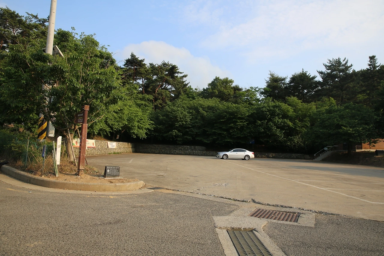 MG0A1968_новый размер.JPG