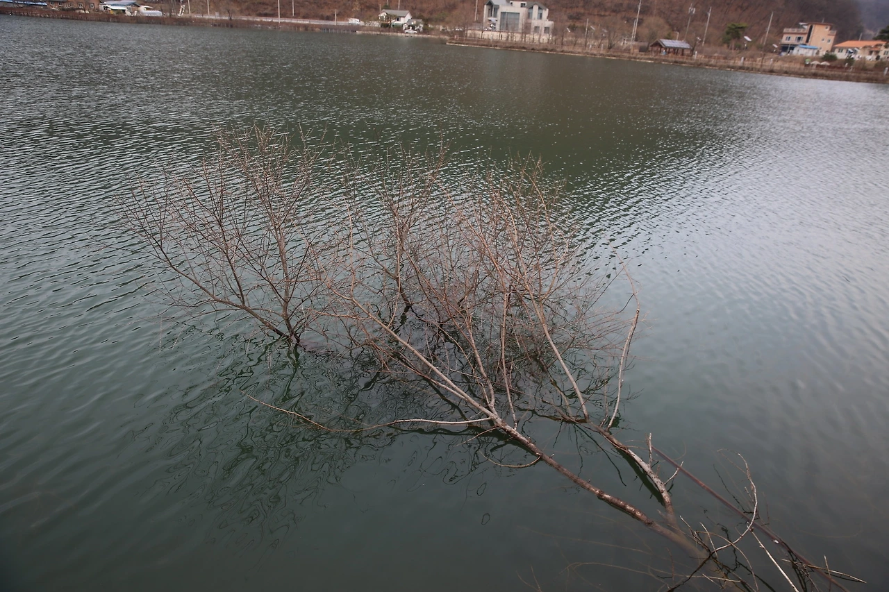 MG0A1583_новый размер.JPG