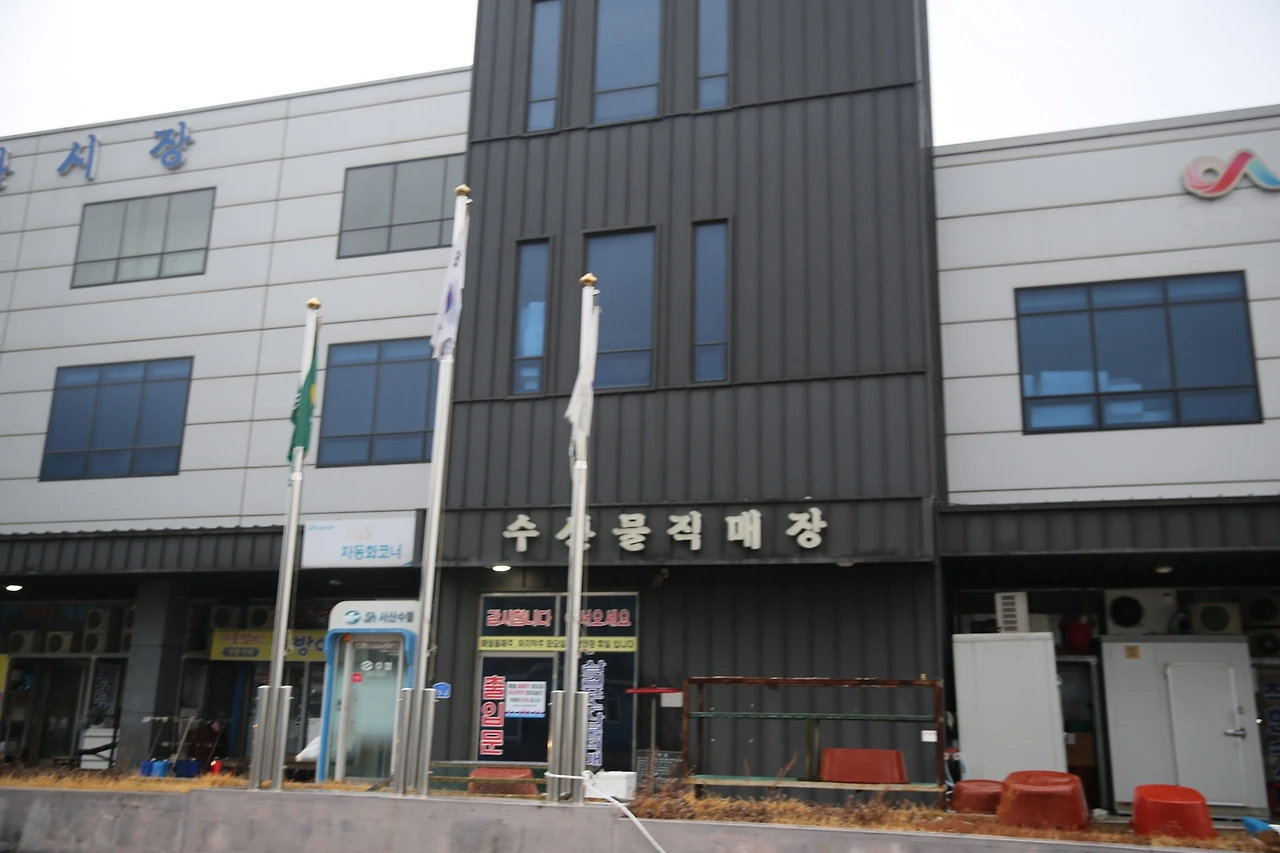 MG0A5905_новый размер.JPG