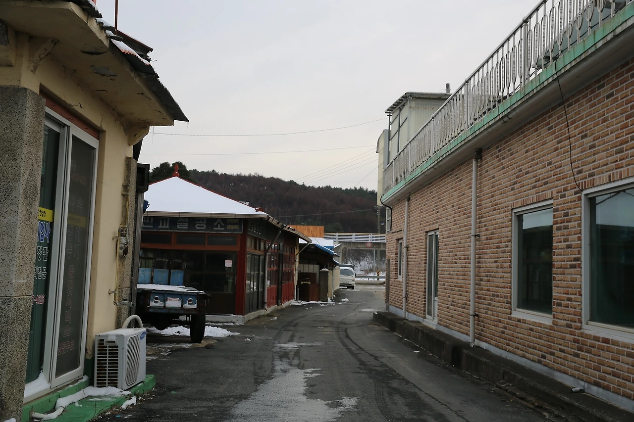 MG0A4235_новый размер.JPG