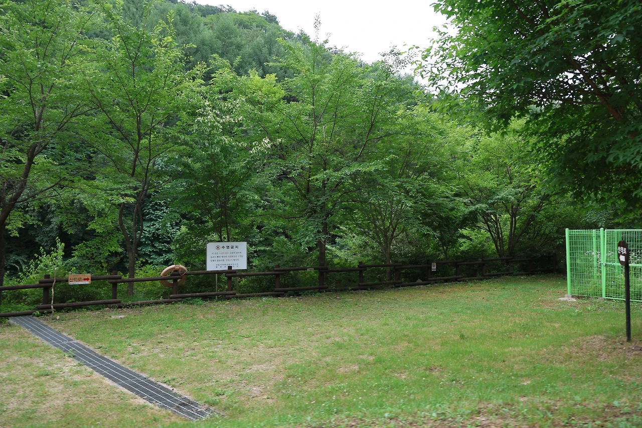 0R5A8661_новый размер.JPG