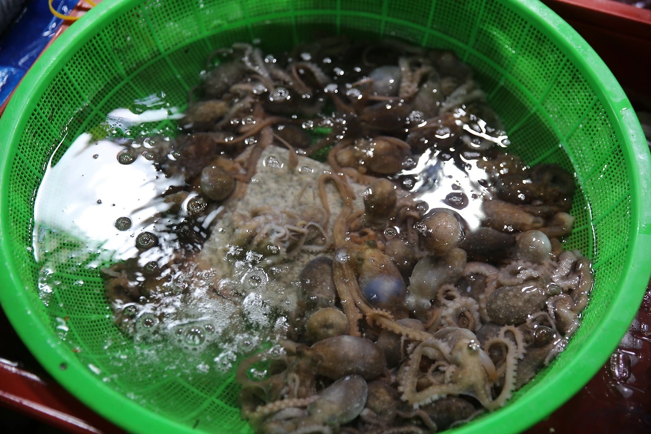 MG0A7798_новый размер.JPG