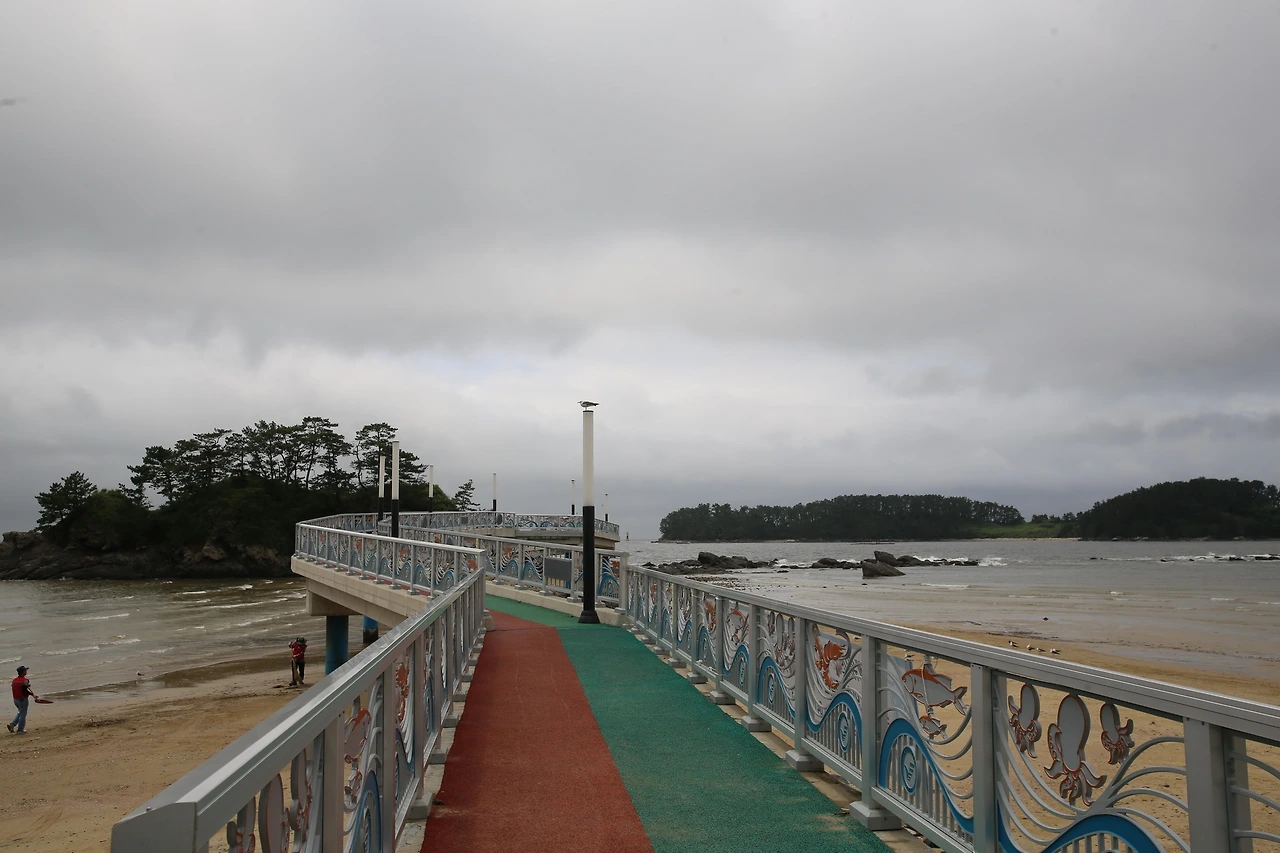 MG0A3654_новый размер.JPG