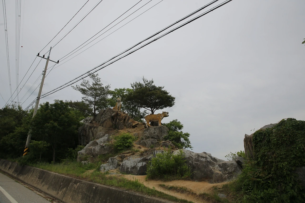 MG0A9935_новый размер.JPG