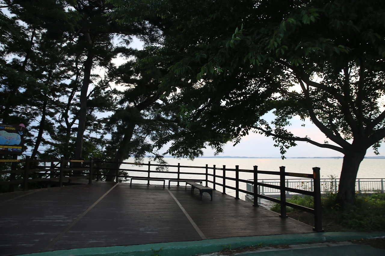 MG0A2031_новый размер.JPG