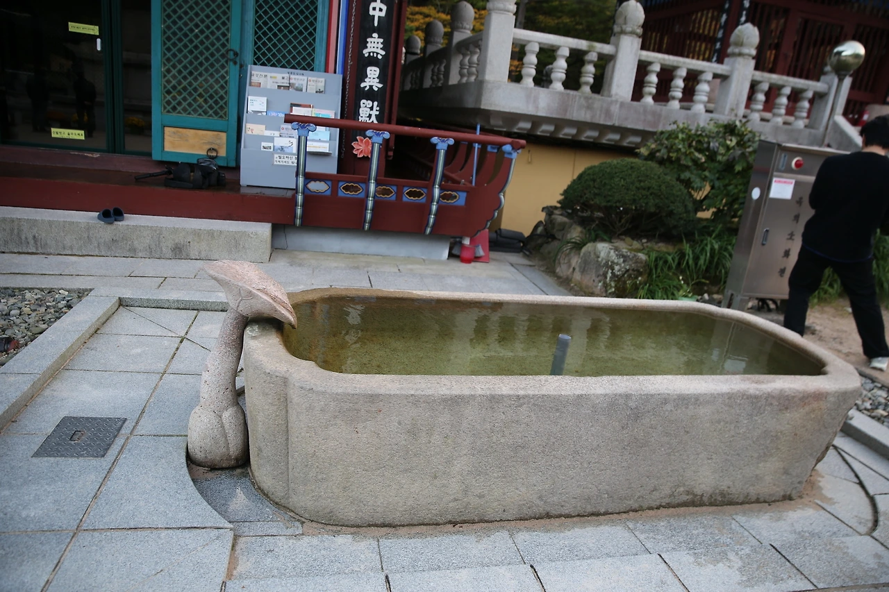 MG0A8369_новый размер.JPG