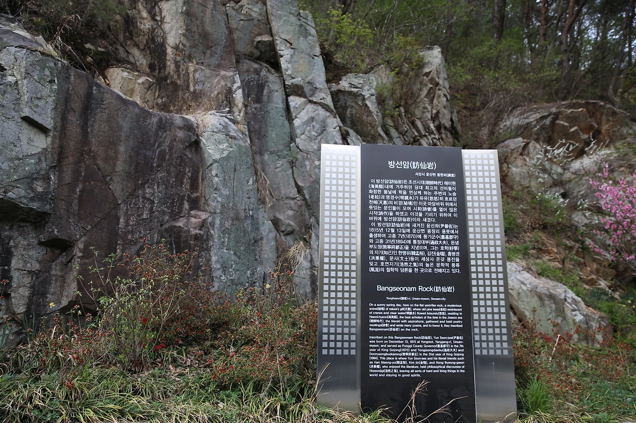 MG0A9504_новый размер.JPG