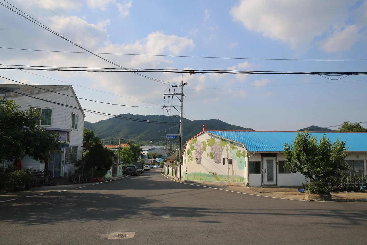 MG0A1636_новый размер.JPG