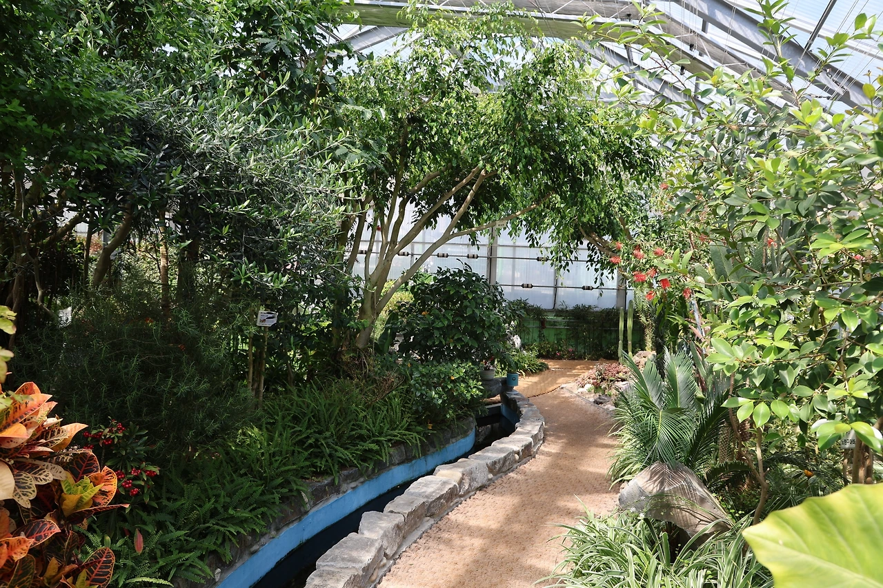 0R5A5879_новый размер.JPG