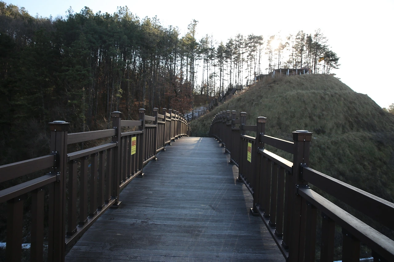 MG0A6075_новый размер.JPG