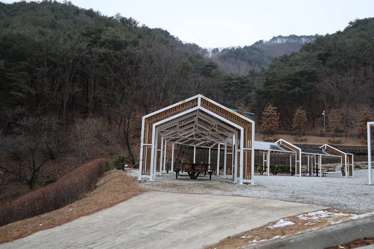 0R5A6650_новый размер.JPG