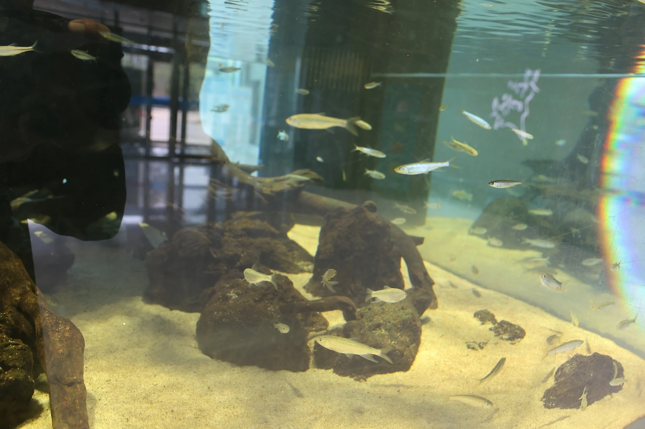 0R5A6979_новый размер.JPG