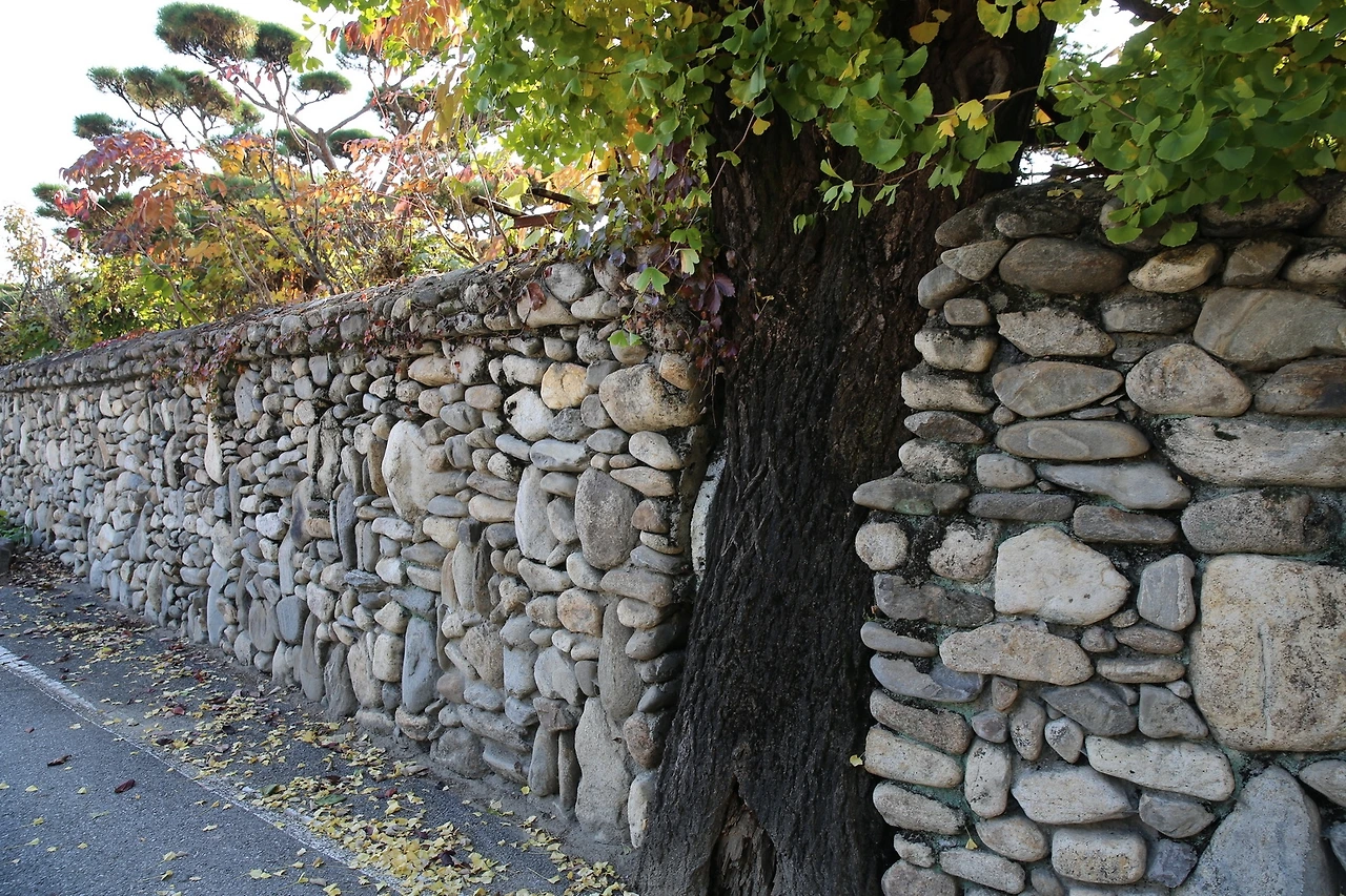 MG0A8327_новый размер.JPG