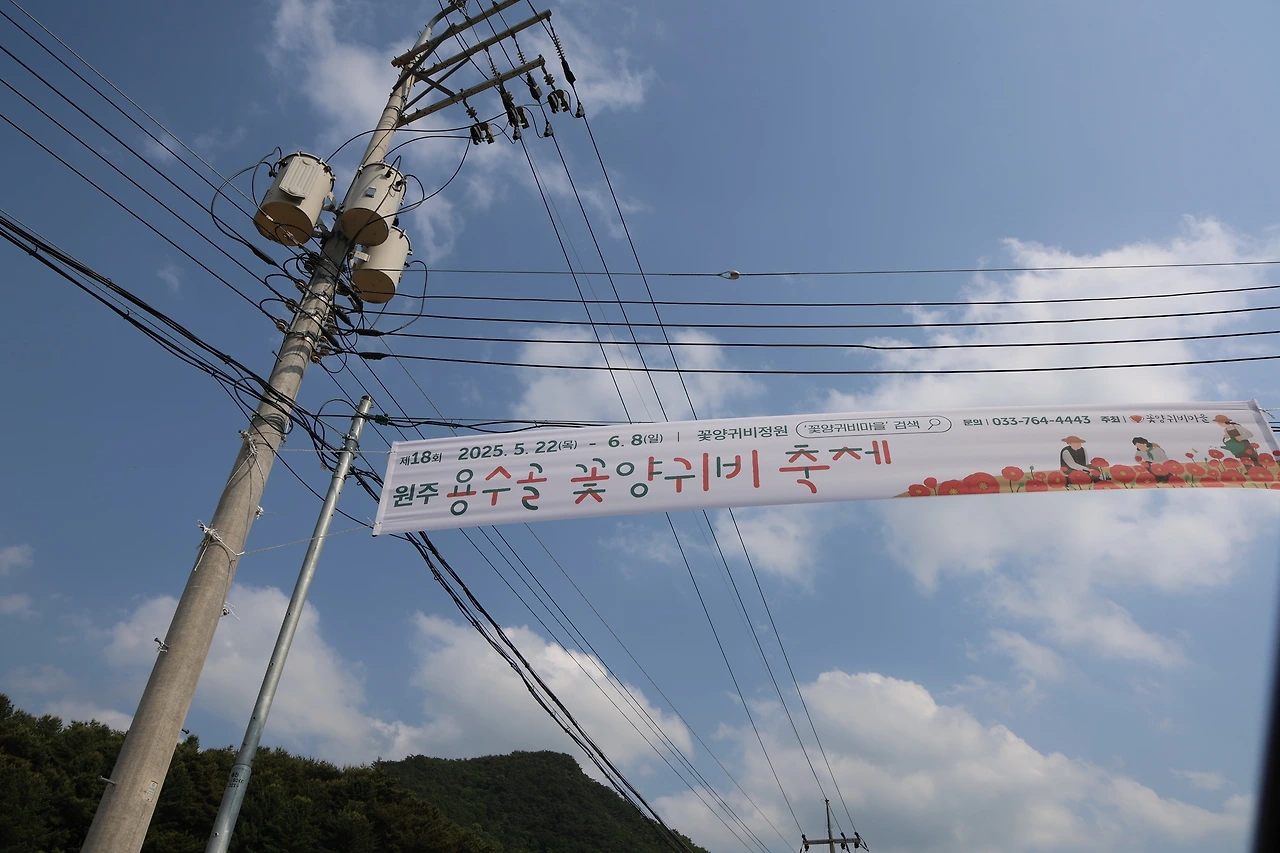 0R5A1511_новый размер.JPG