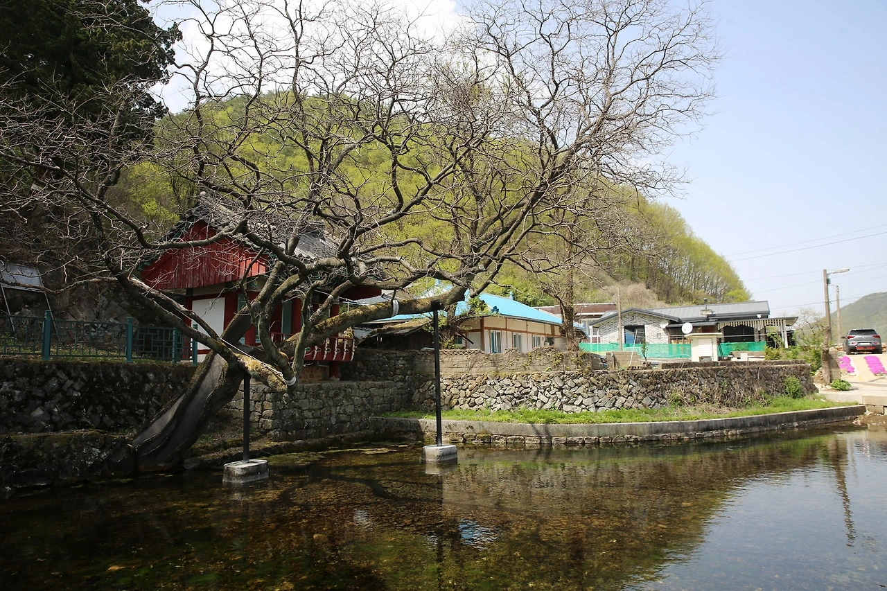 MG0A9762_новый размер.JPG