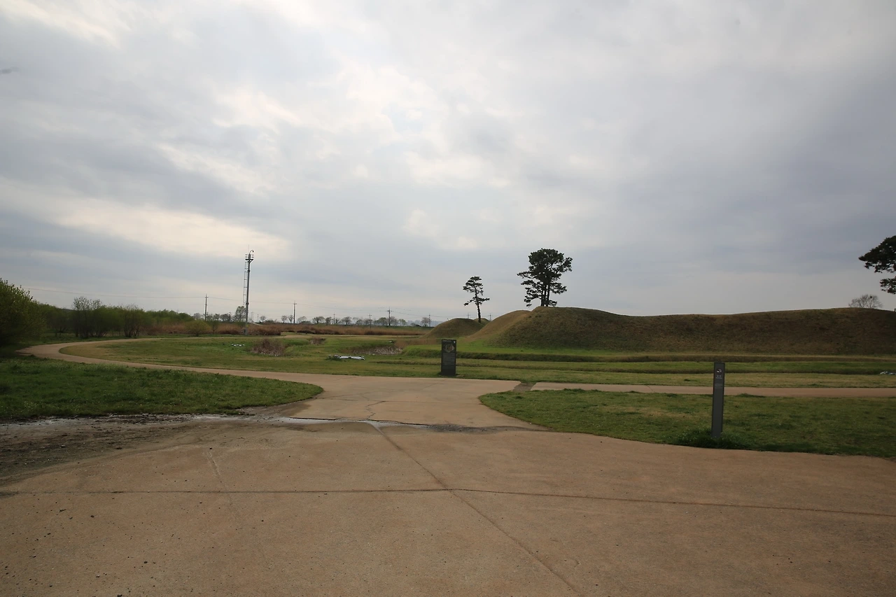 MG0A8233_новый размер.JPG