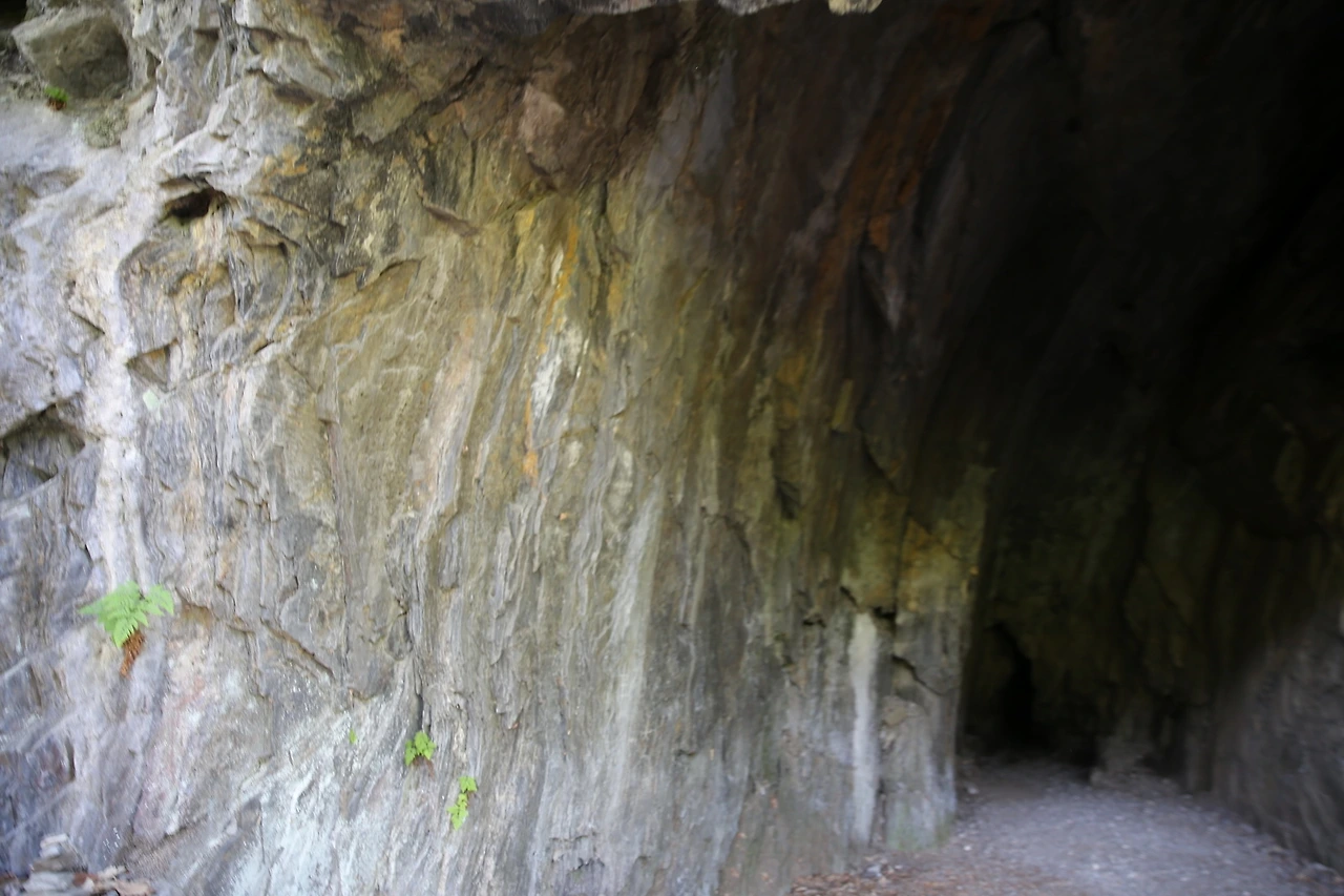 MG0A7960_новый размер.JPG