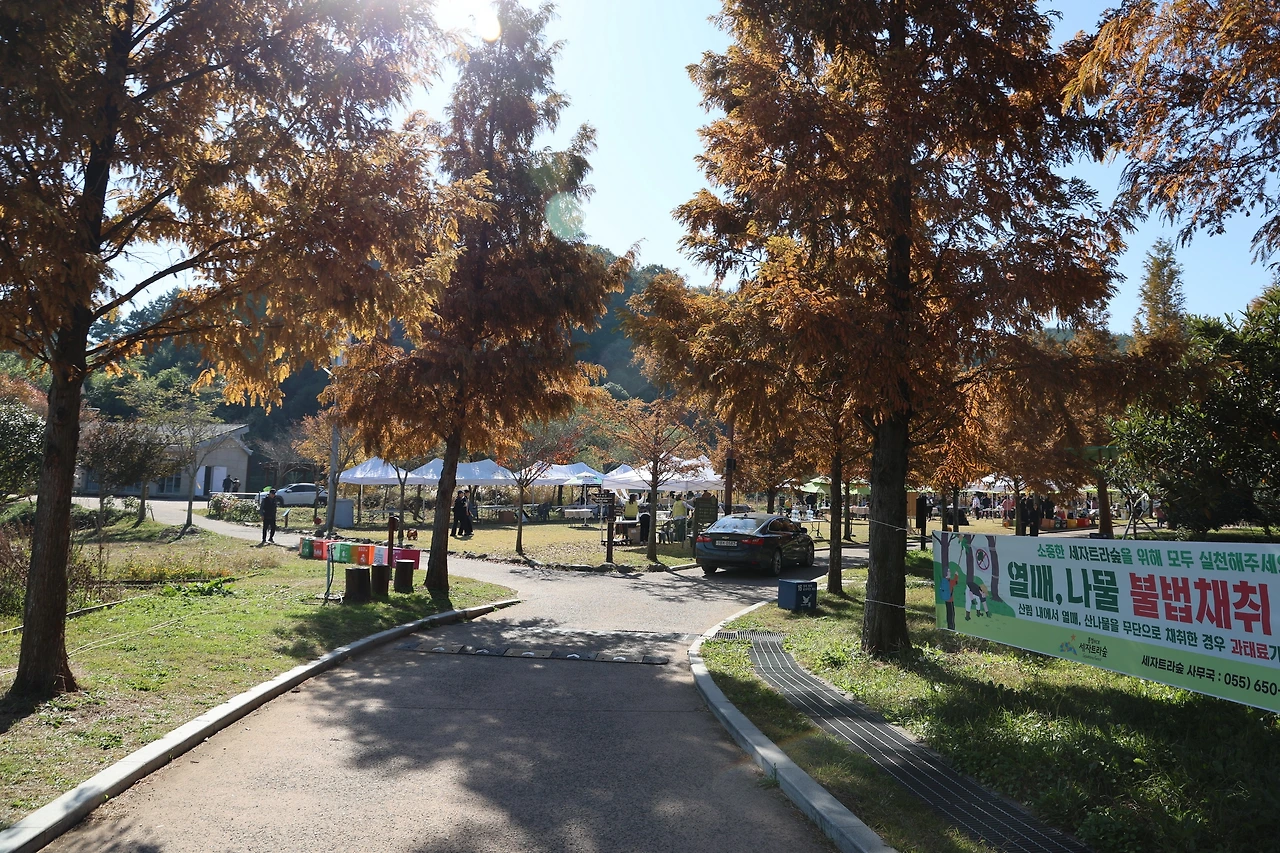 0R5A2716_новый размер.JPG