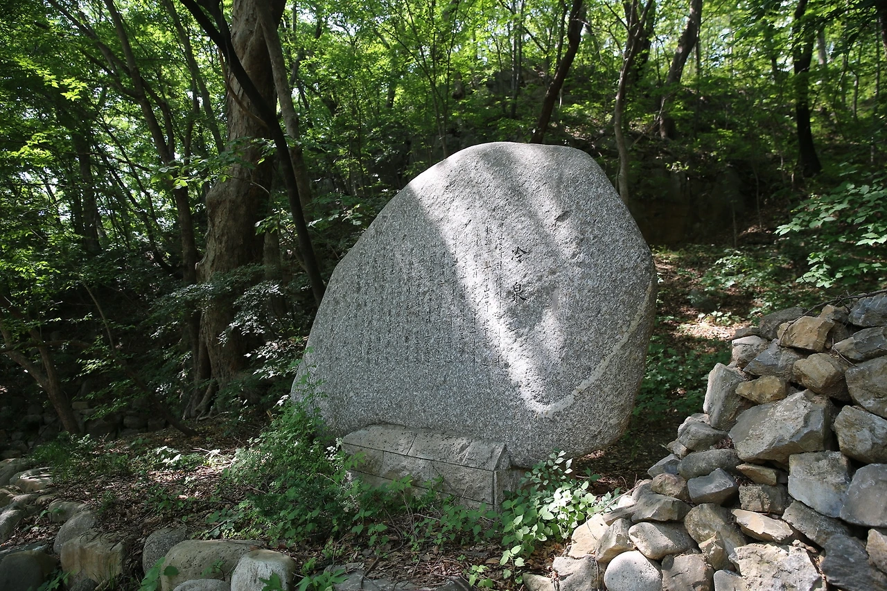 MG0A0073_новый размер.JPG