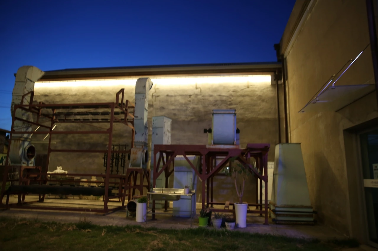 MG0A9313_новый размер.JPG