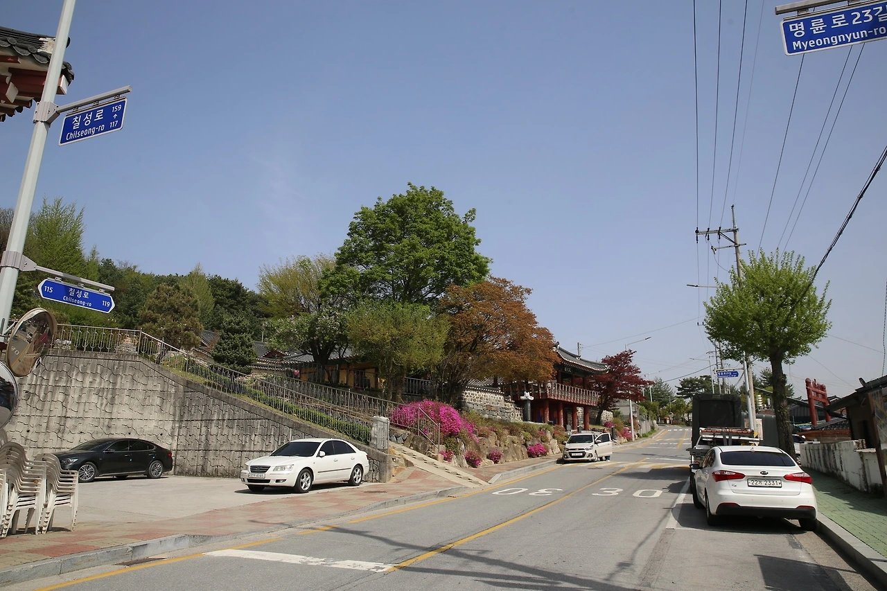 MG0A0295_новый размер.JPG