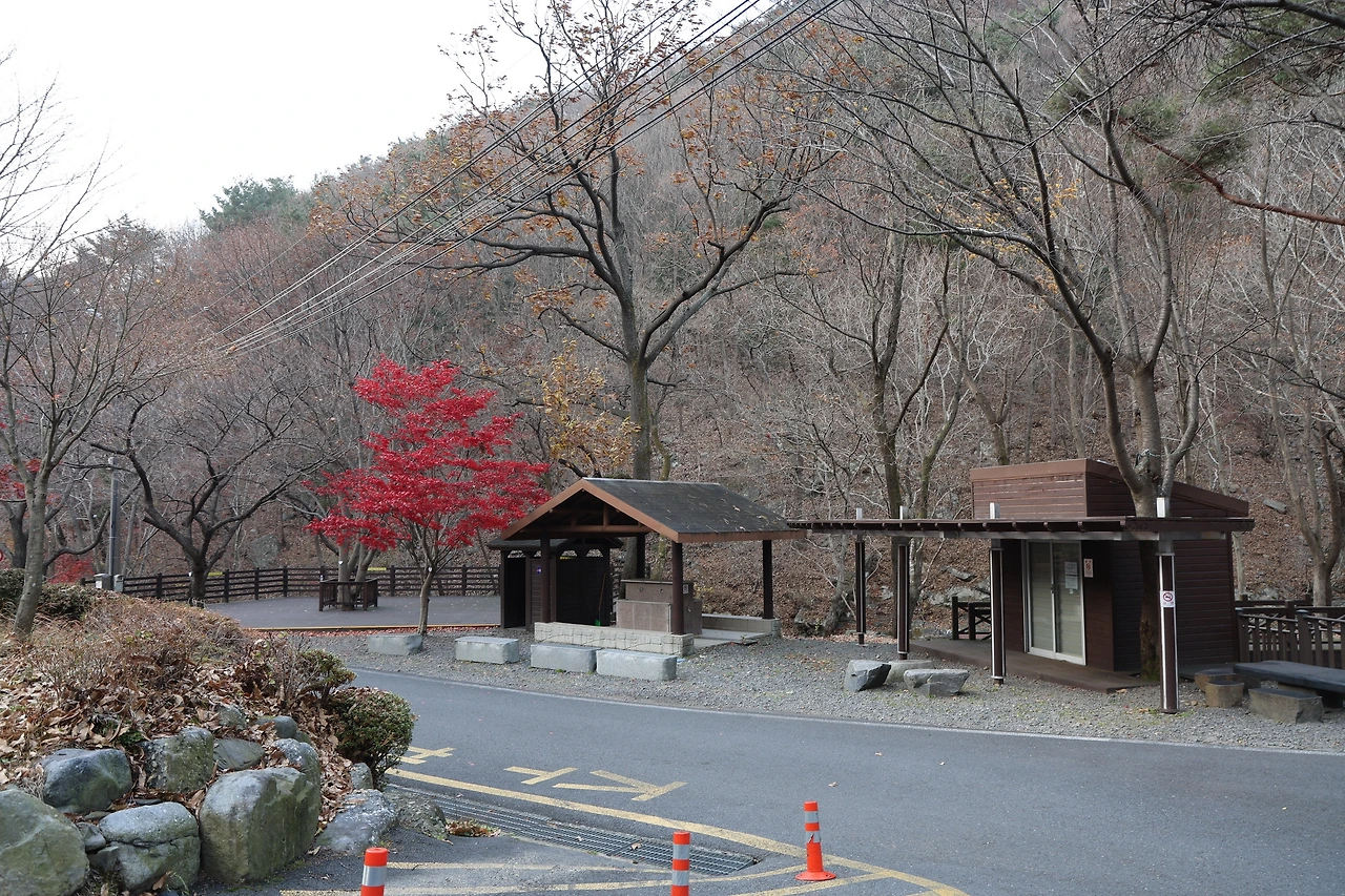 0R5A3122_новый размер.JPG