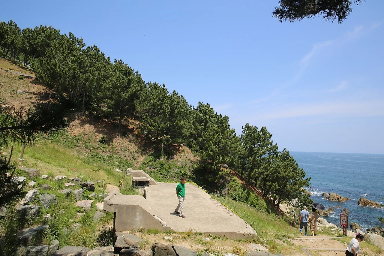 MG0A9240_новый размер.JPG