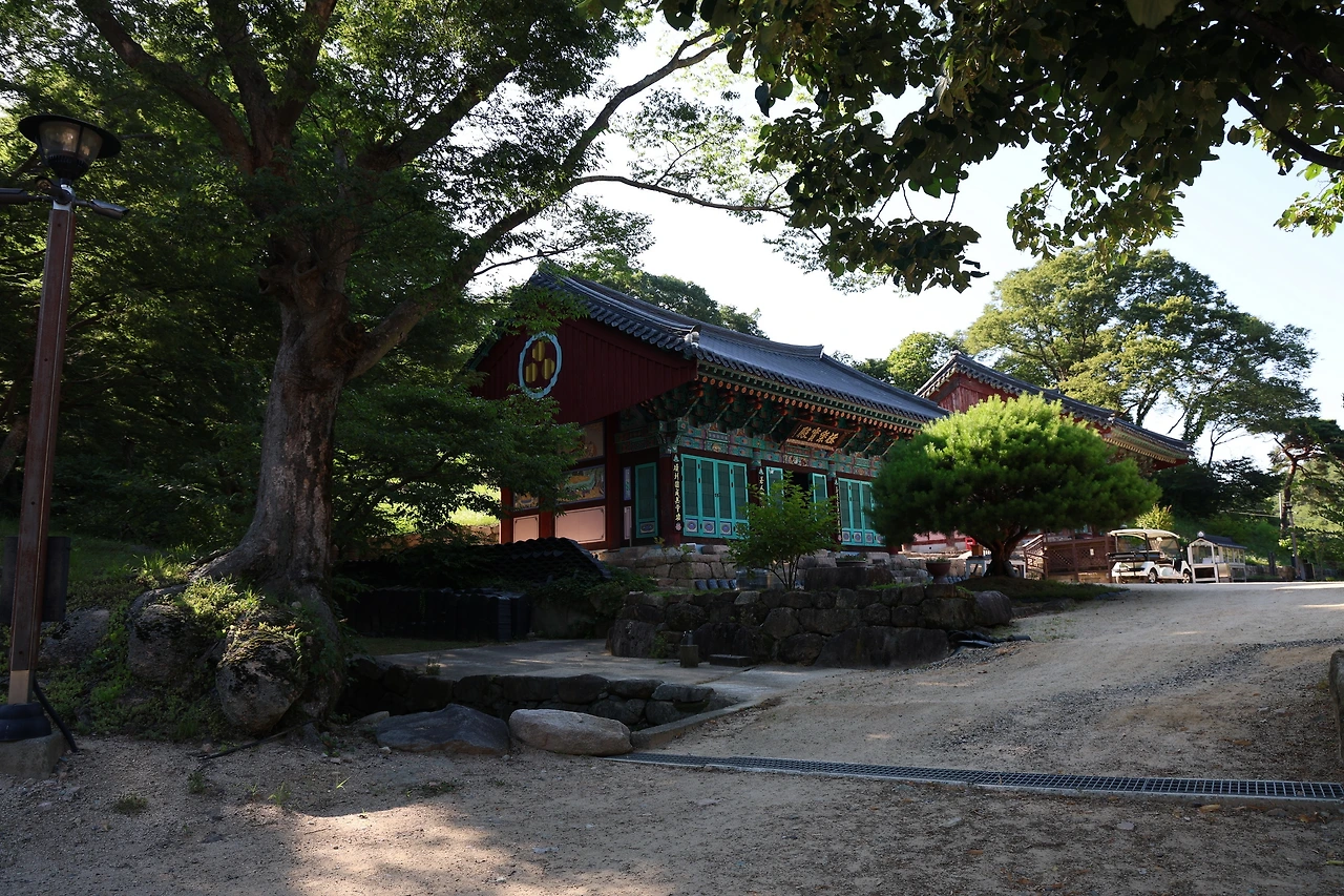 0R5A8070_новый размер.JPG