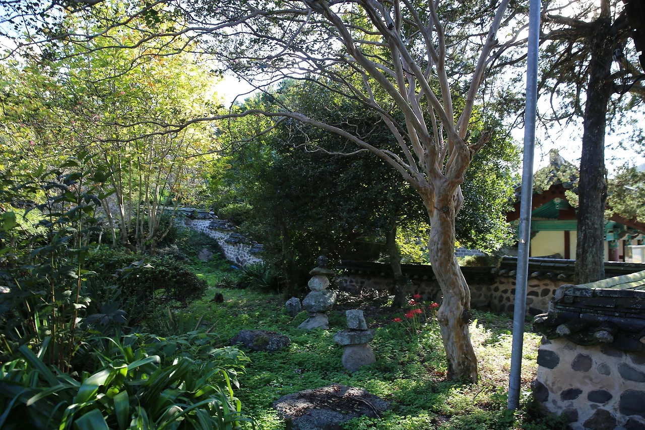 MG0A2898_новый размер.JPG