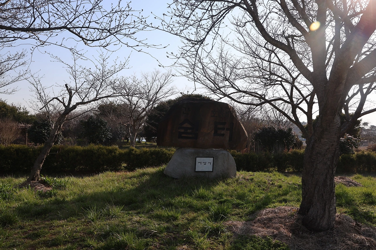 0R5A6097_новый размер.JPG