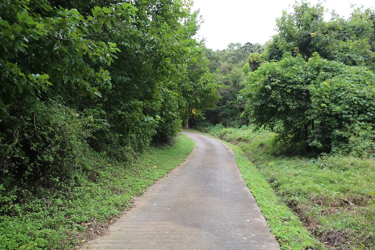 MG0A5142_новый размер.JPG