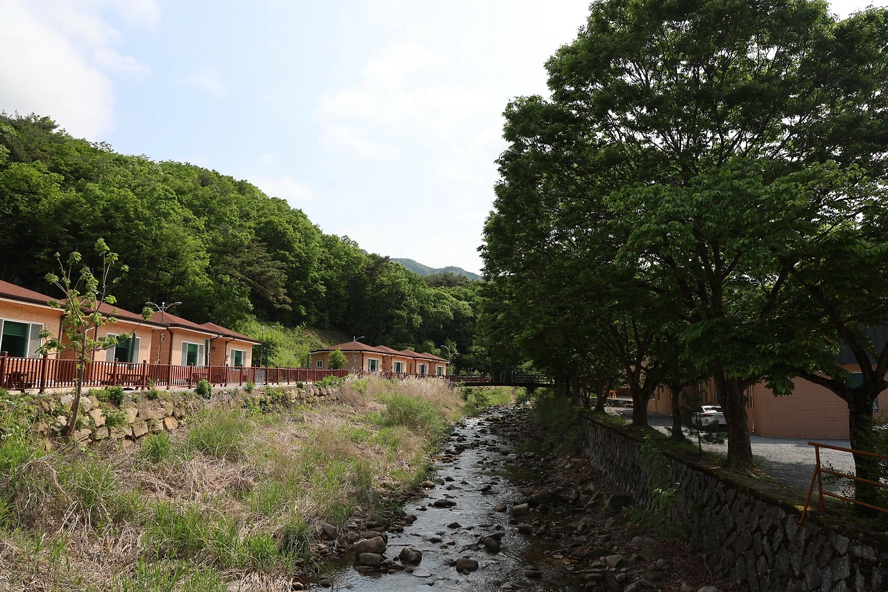 0R5A1325_новый размер.JPG