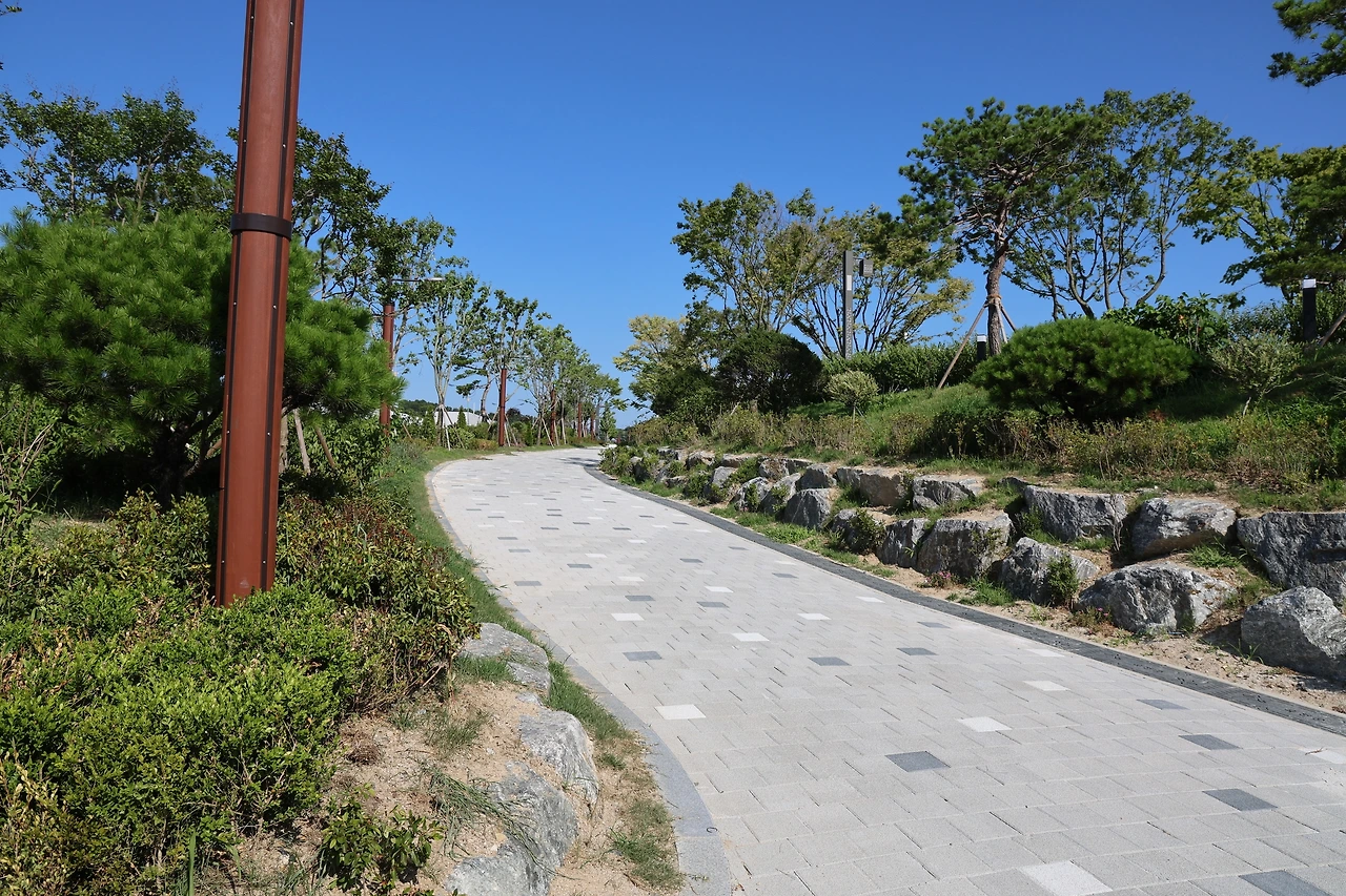 0R5A8043_новый размер.JPG