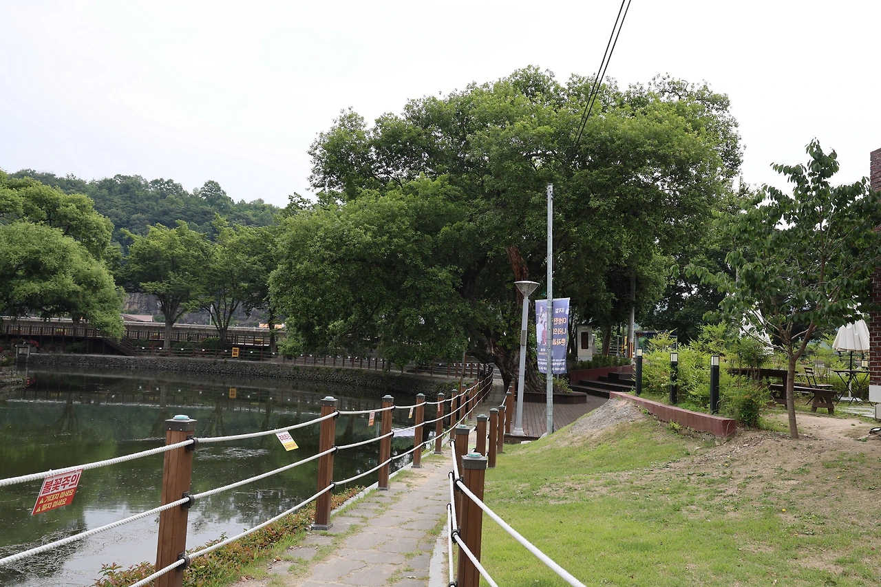 0R5A4366_новый размер.JPG