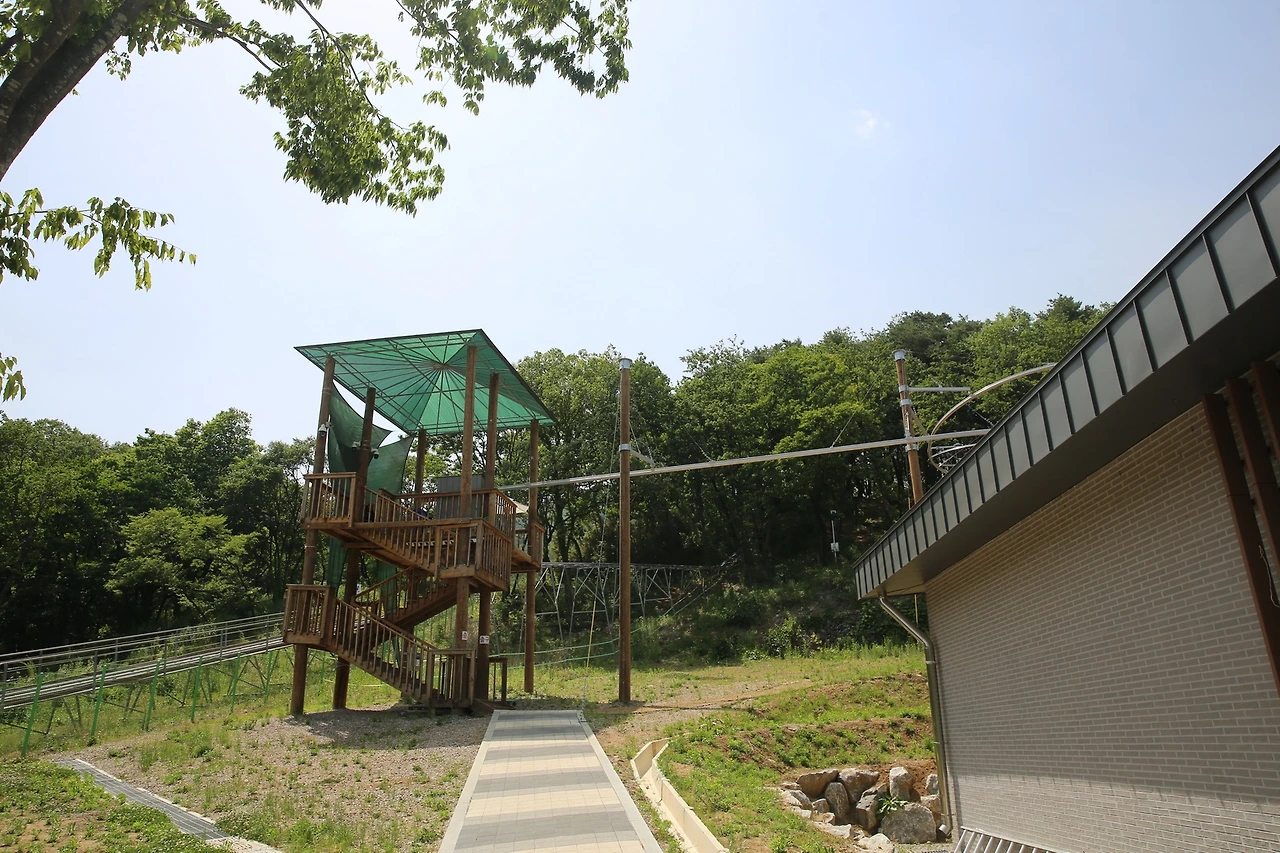 MG0A0917_новый размер.JPG