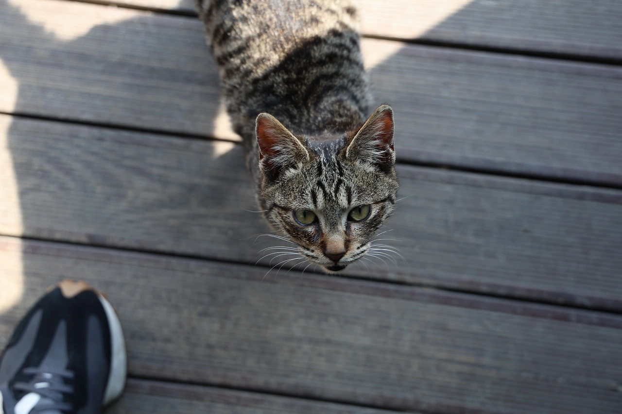 0R5A9011_новый размер.JPG