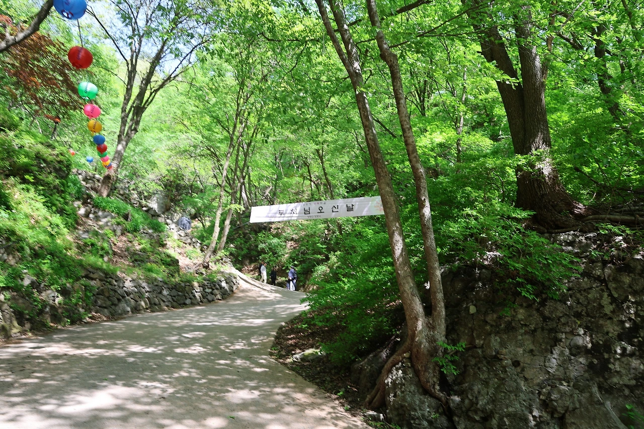 0R5A9605_новый размер.JPG