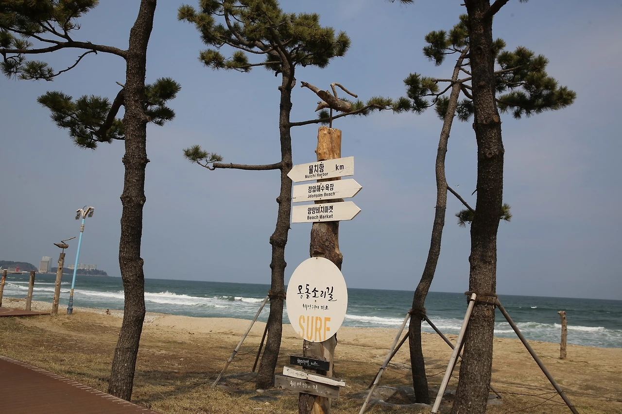 MG0A5382_новый размер.JPG