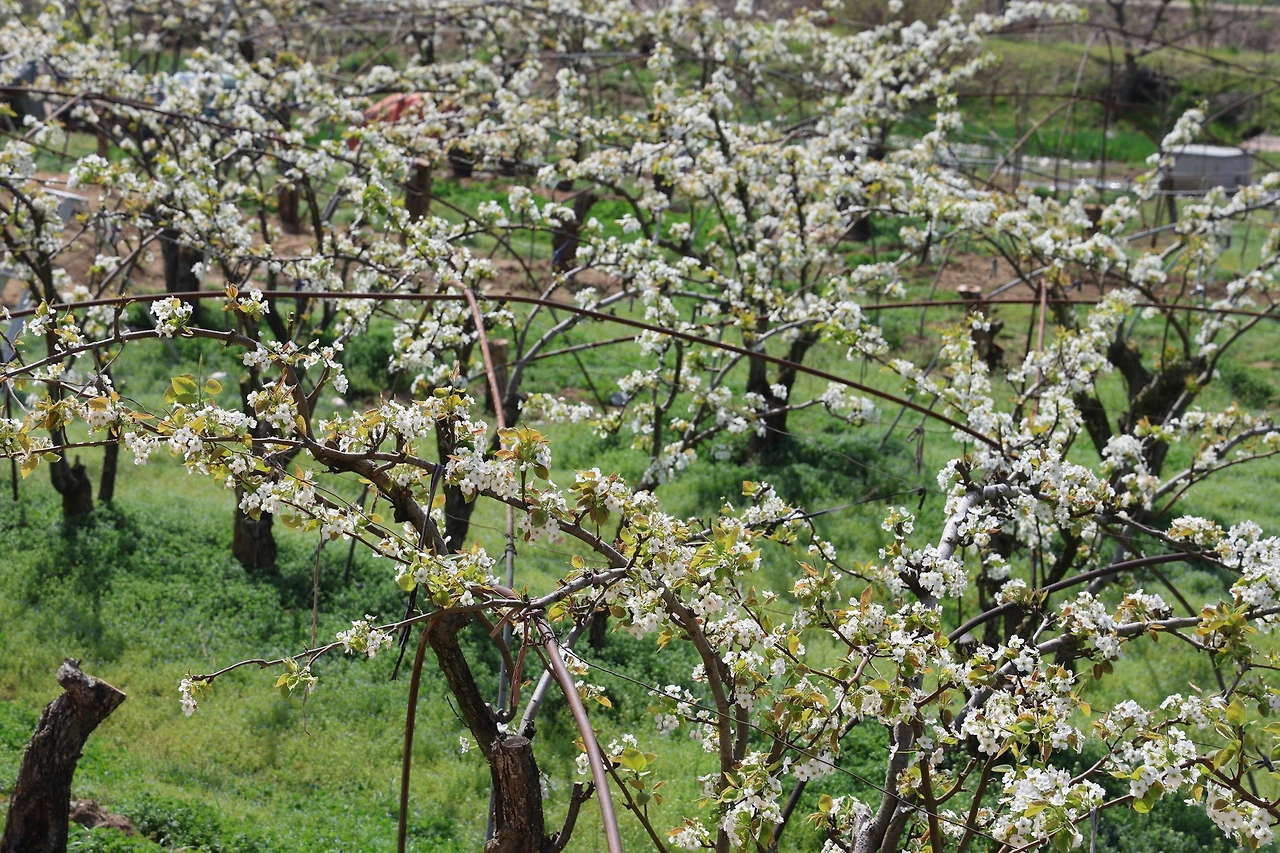 0R5A7190_новый размер.JPG