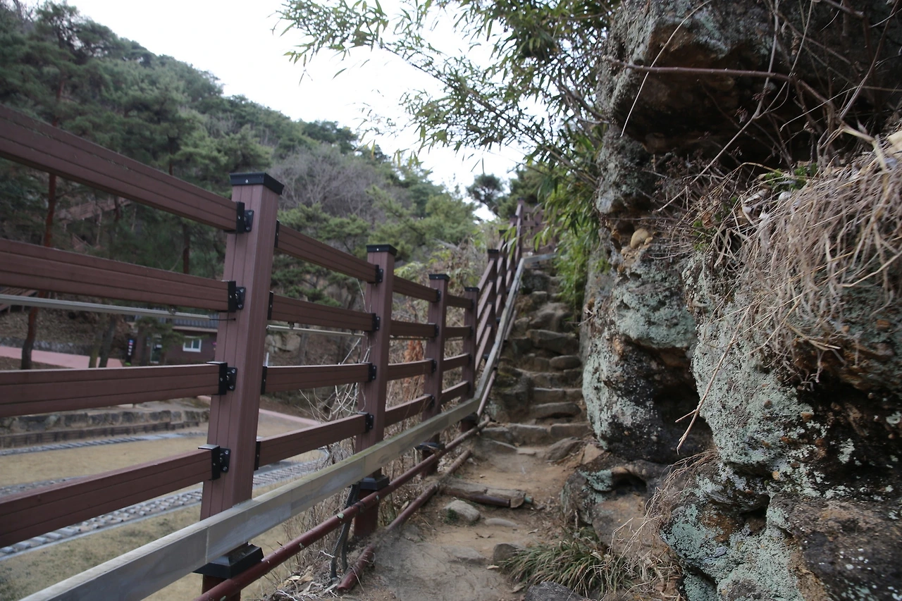 MG0A4897_новый размер.JPG