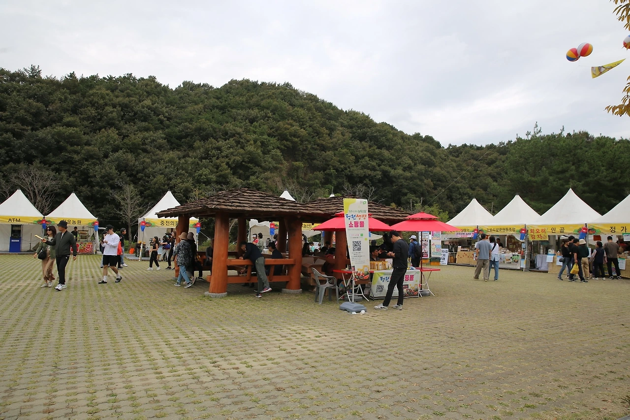 MG0A5511_новый размер.JPG