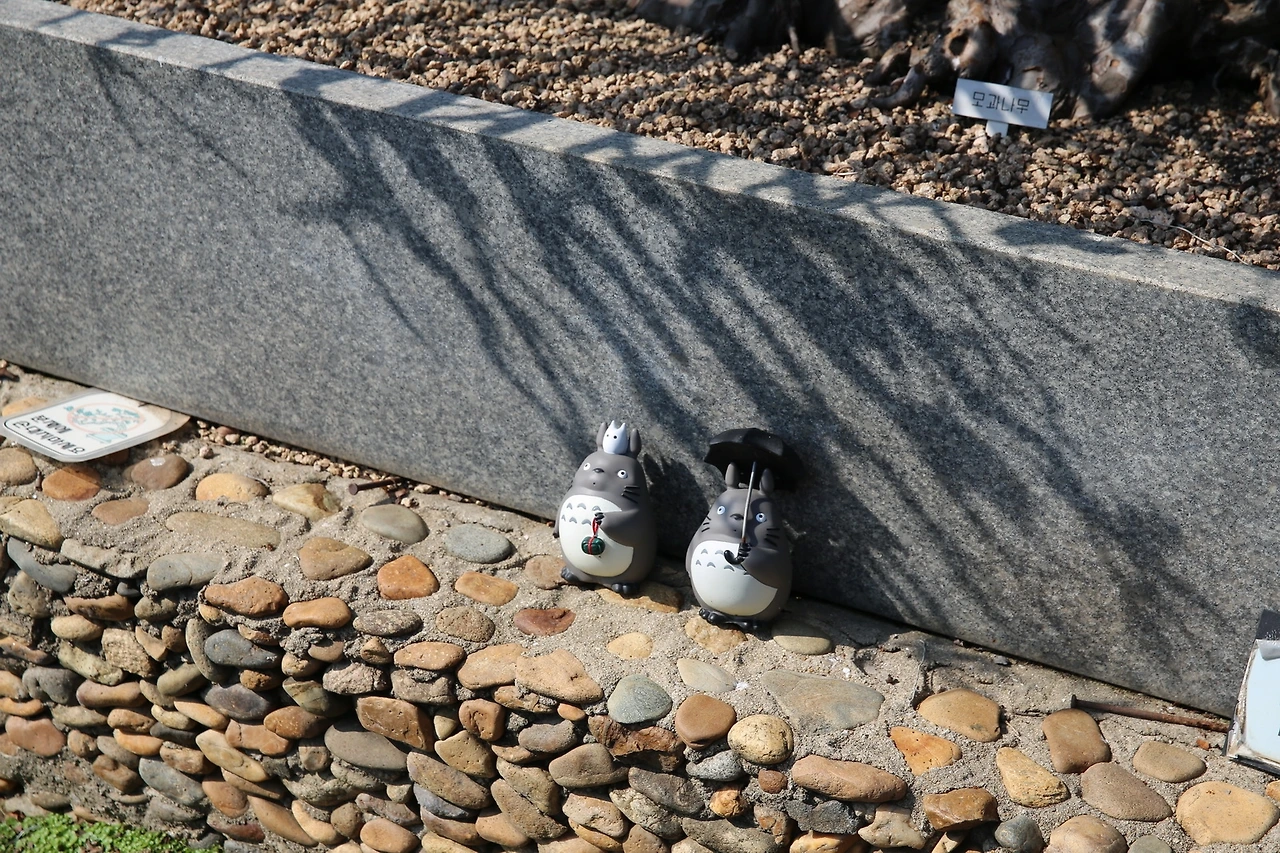 MG0A8503_новый размер.JPG