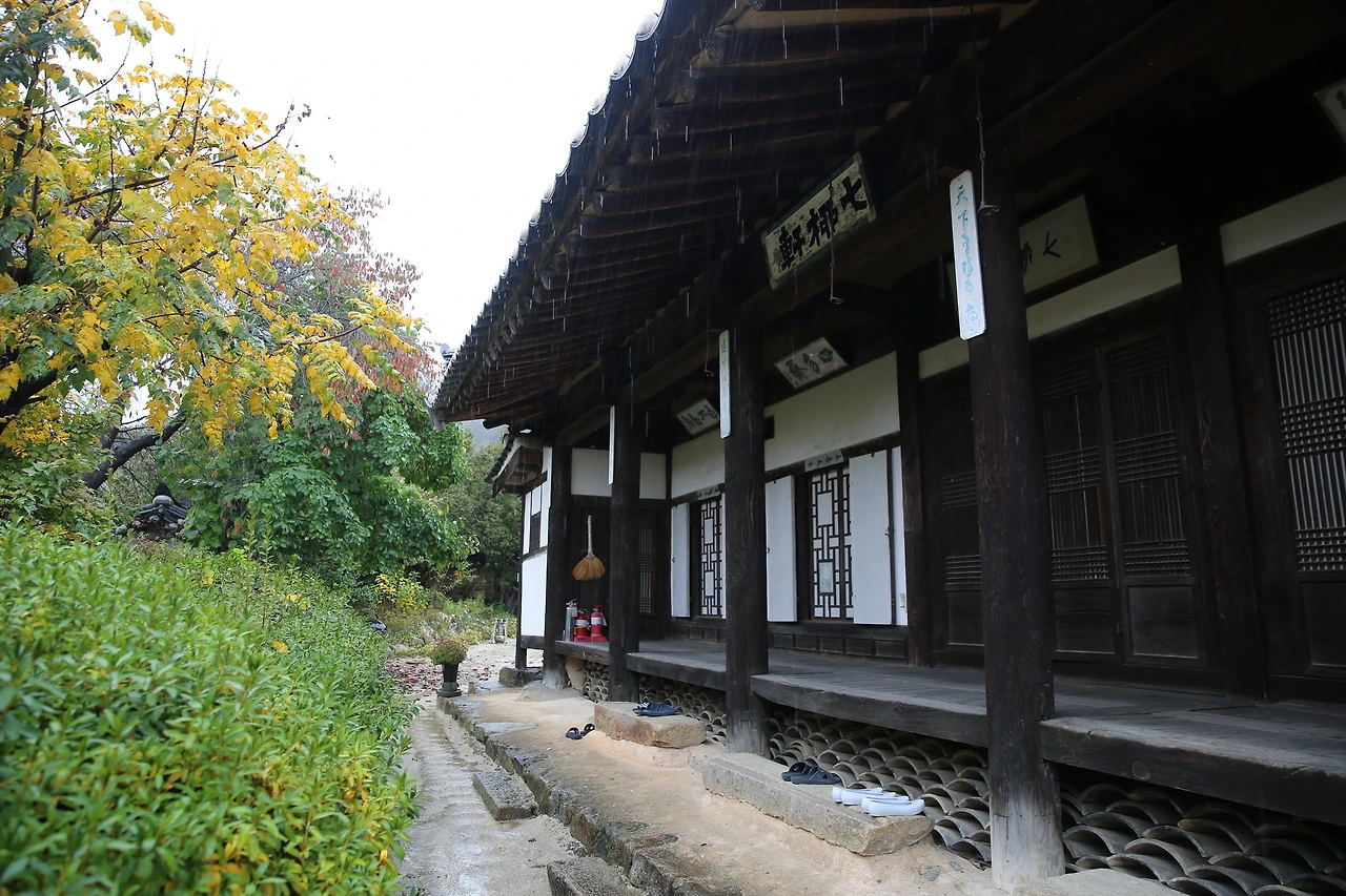 MG0A6002_новый размер.JPG