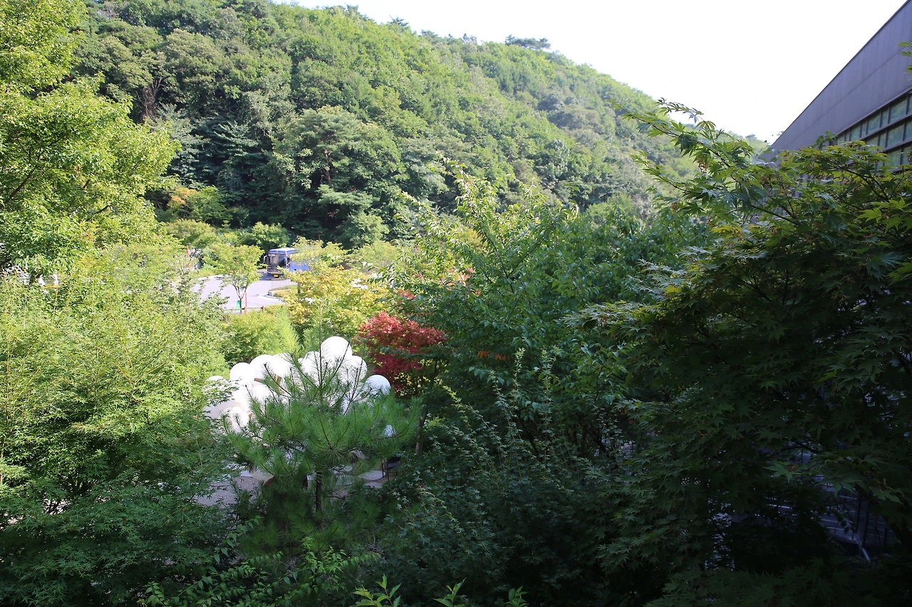 MG0A0543_новый размер.JPG