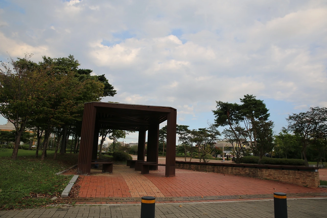 MG0A1866_новый размер.JPG